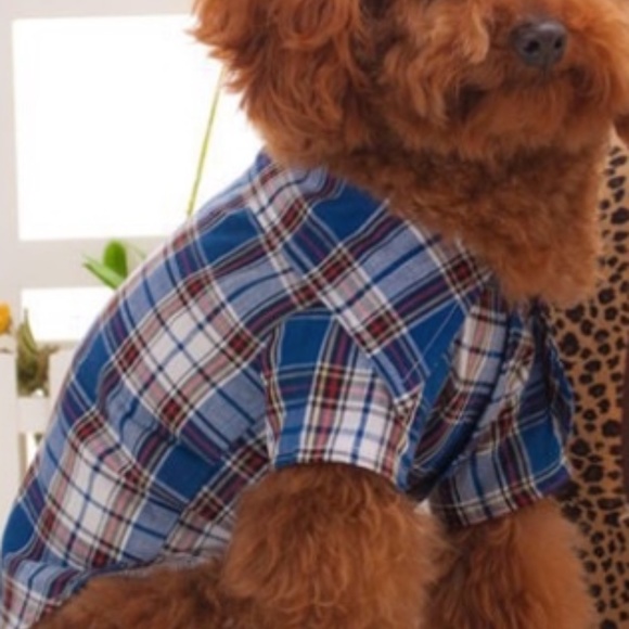 PLAID SHIRT - Picture 3 of 3